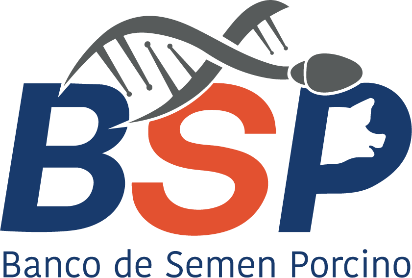 BSP Logo
